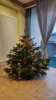 Baum1