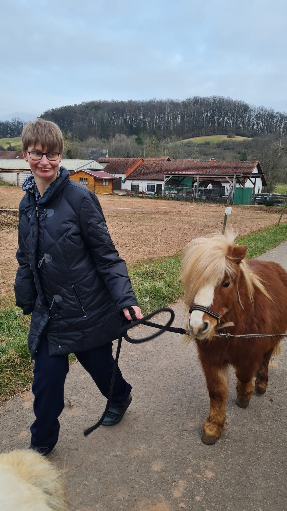 Weilerbacher auf Ponywanderung