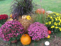 Herbstmarkt auf der Gartenschau Kaiserslautern