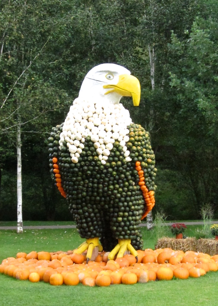 1. September 2017: Gartenschau Kaiserslautern - Kürbisausstellung mit dem Thema "Fliegen"