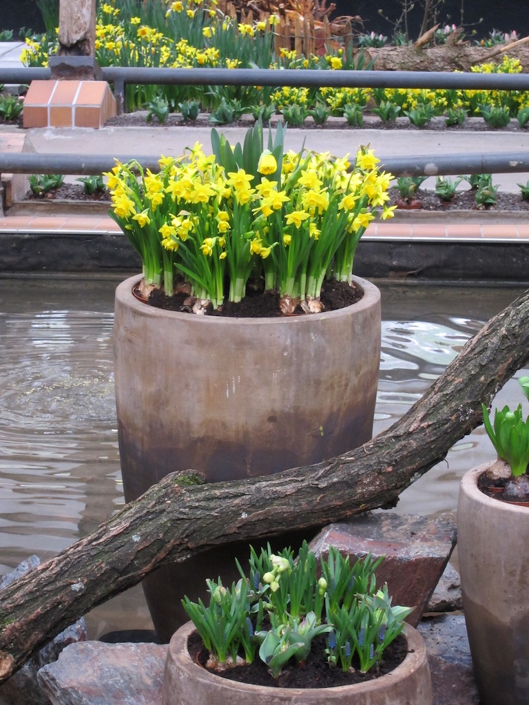 1. April 2018: Gartenschau Kaiserslautern - Saison 2018 - 1. Hallenschau