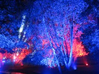 14. Juli 2018: Gartenschau Kaiserslautern - Saison 2018 - Gartenschau wird zum Lichtermeer - Vorschau