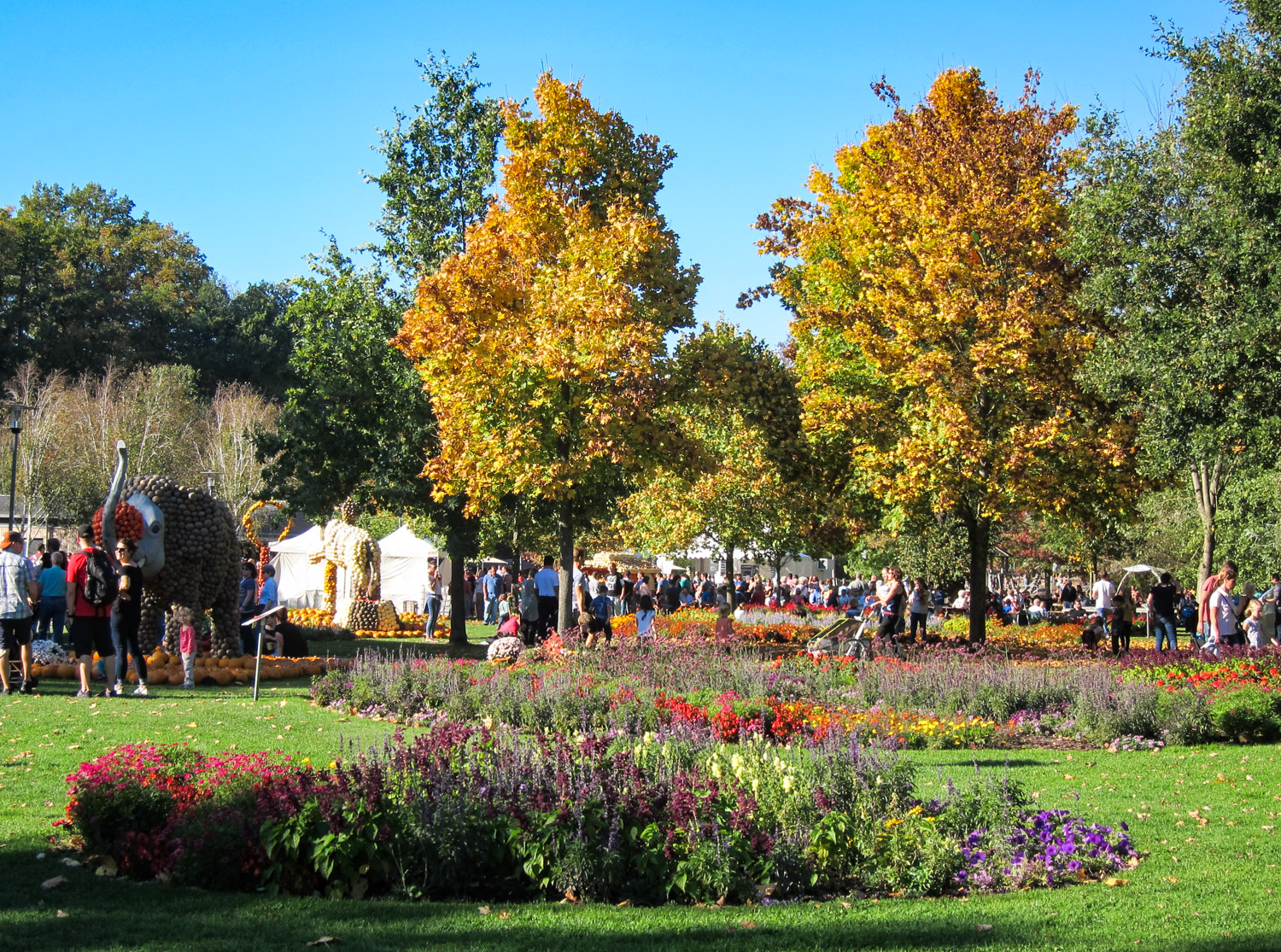 14. Oktober 2018: Gartenschau Kaiserslautern - Saison 2018 - Kürbisfest