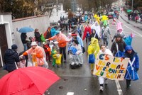 5. März 2019: Wohnstätte "Haus Birke" beim Zweibrücker Fastnachtsumzug