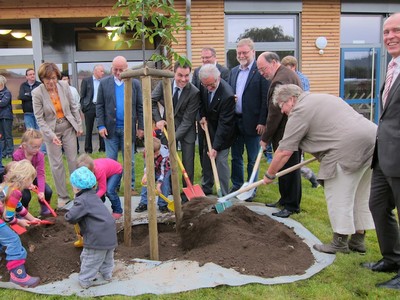 Ein Walnussbaum wird gepflanzt