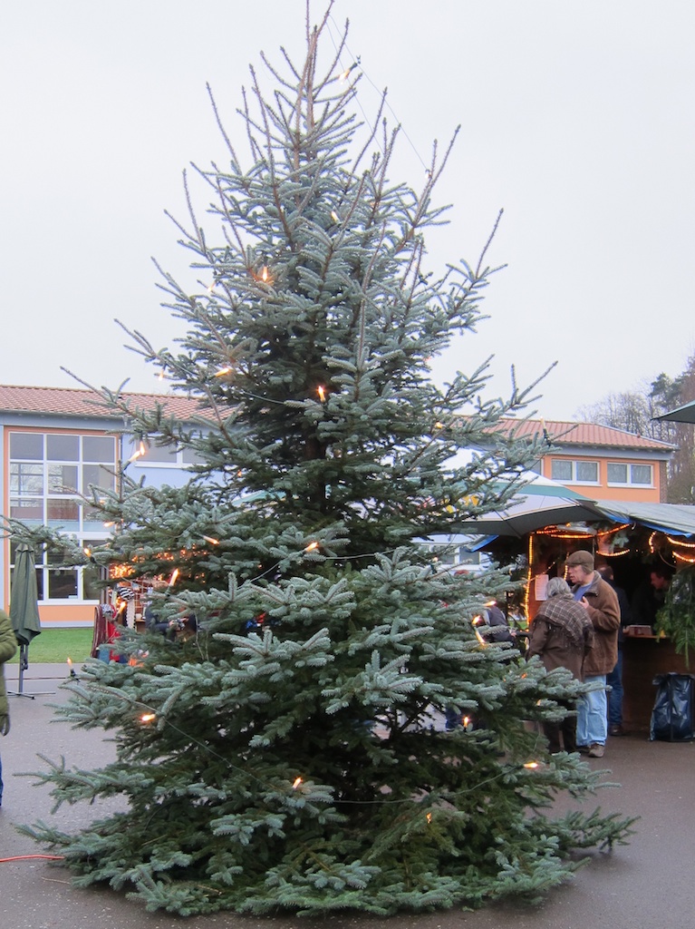 Mackenbacher Weihnachtsmarkt