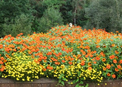 Herbstliche Farbenpracht