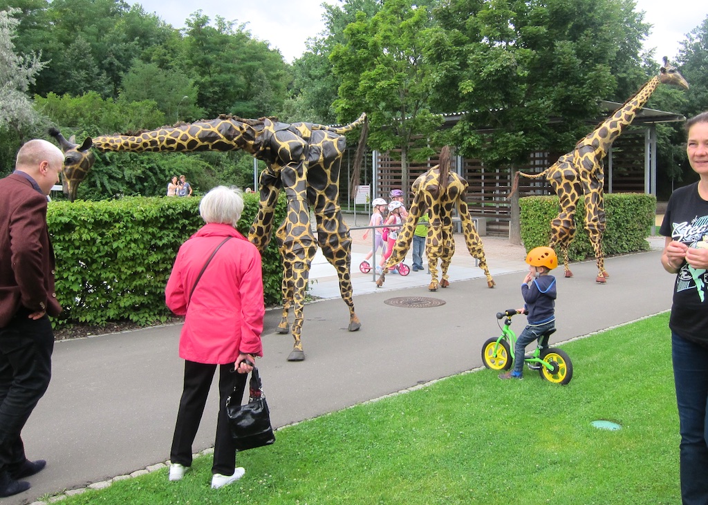 die Besucher