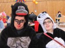 Affe und Panda