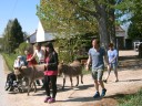 Auf dem Bauernhof der Familie Weber in Worms