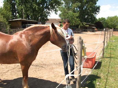 Freundschaftlich mit dem Pferd