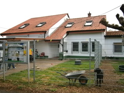 Im Tierheim des Tierschutzvereins Donnersbergkreis e.V