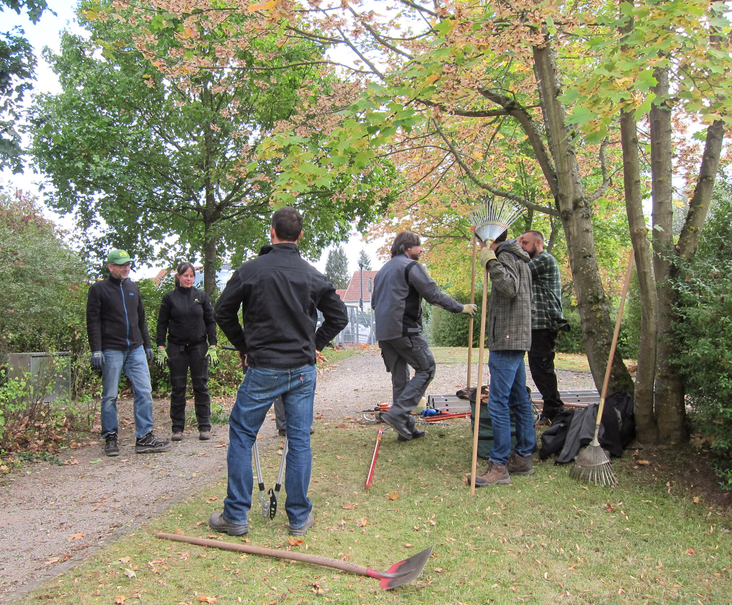 Gruppenarbeit im Herbstwald