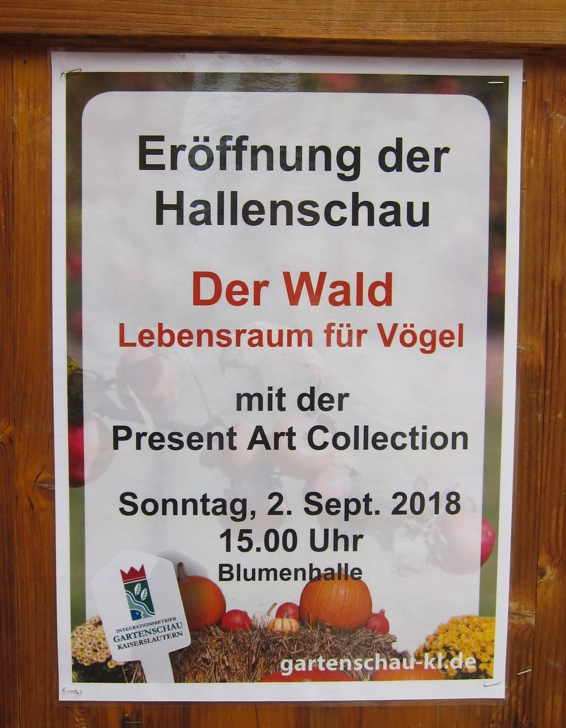 Thema - Der Wald, Lebensraum für Vögel