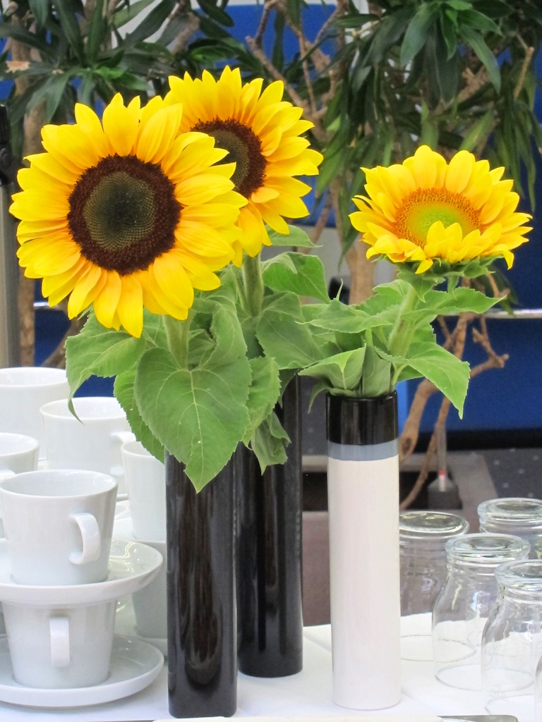 Sonnige Zukunft