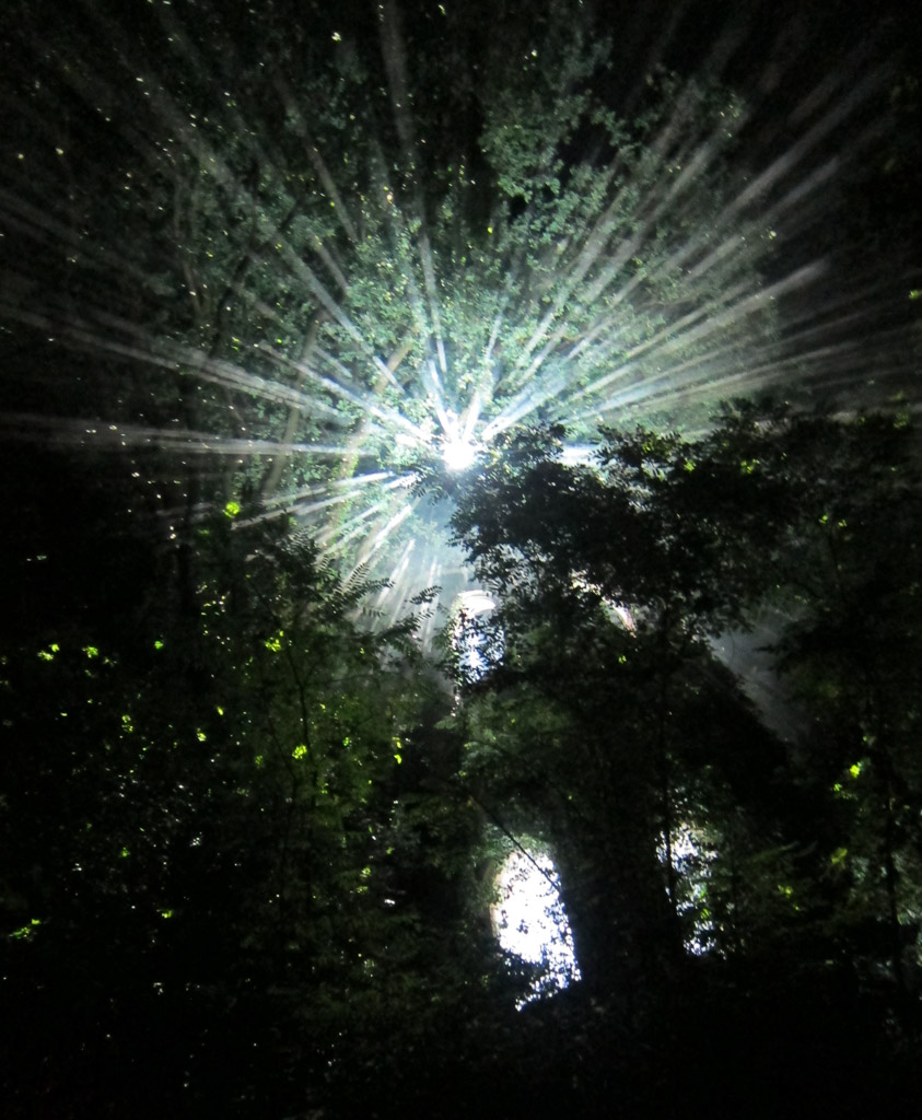 Lichtkrone