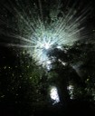 Lichtkrone