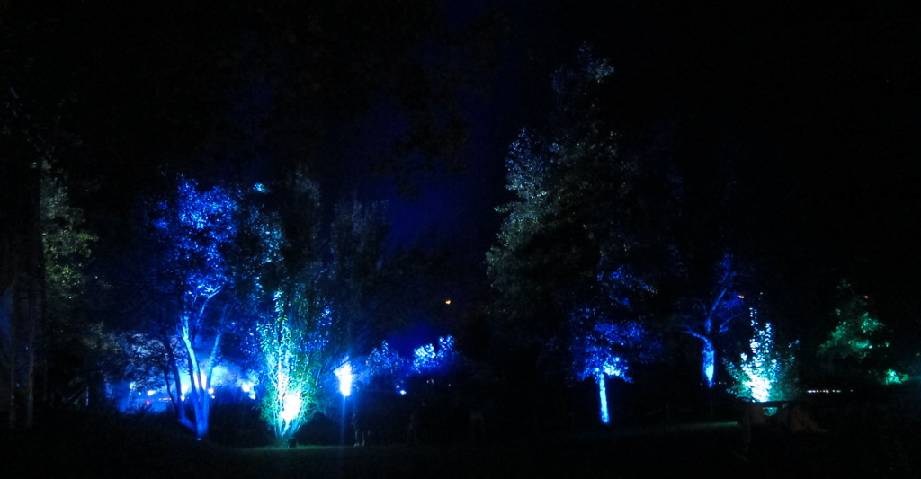 Light-Show