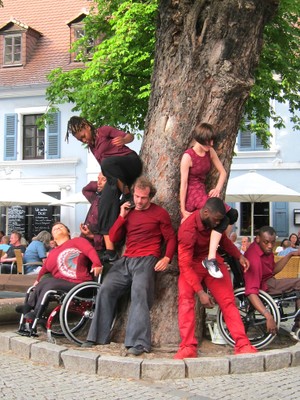 am Stamm
