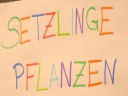 Setzlinge pflanzen