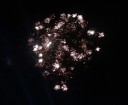 Feuerwerk am Himmel