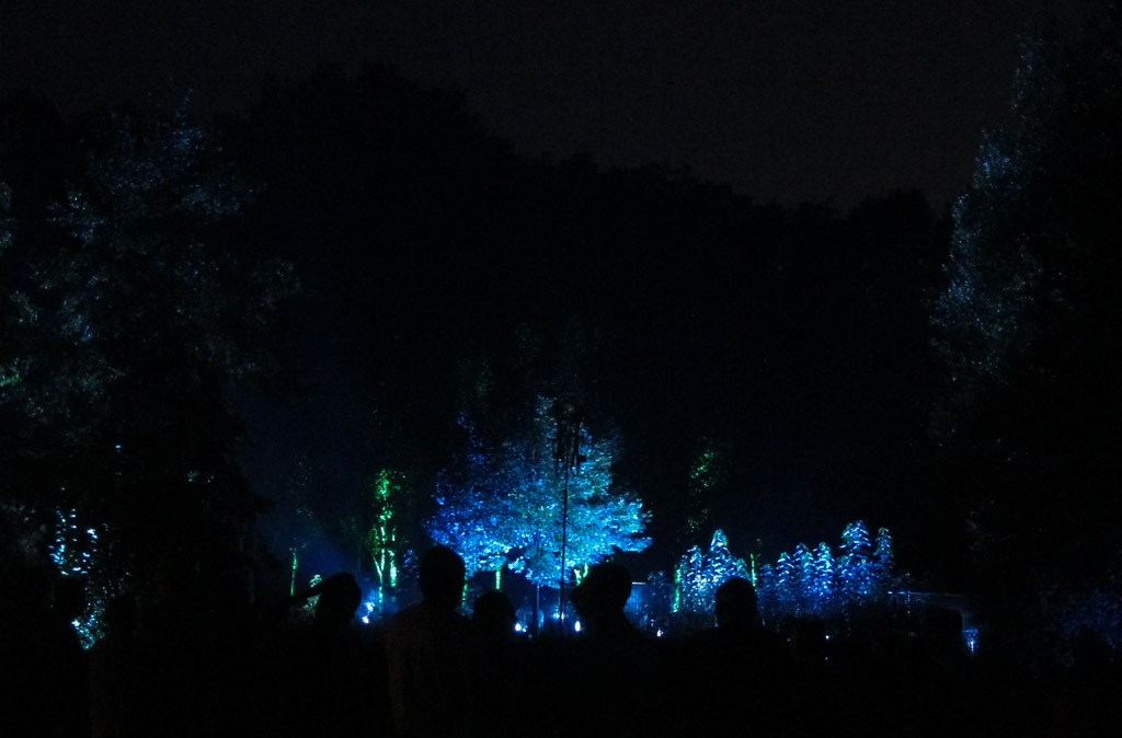 mit Birkenwald in blauen