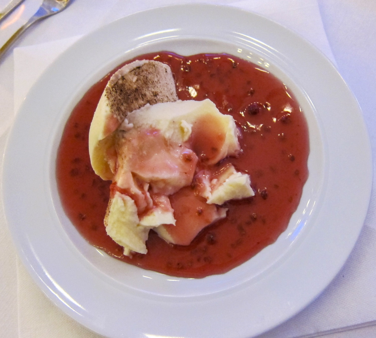 Panna Cotta mit Fruchtsoße
