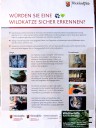 Info zur Wildkatze