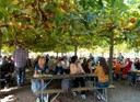 im vollbesetzten Biergarten