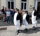 Walk-Act Pinguine!