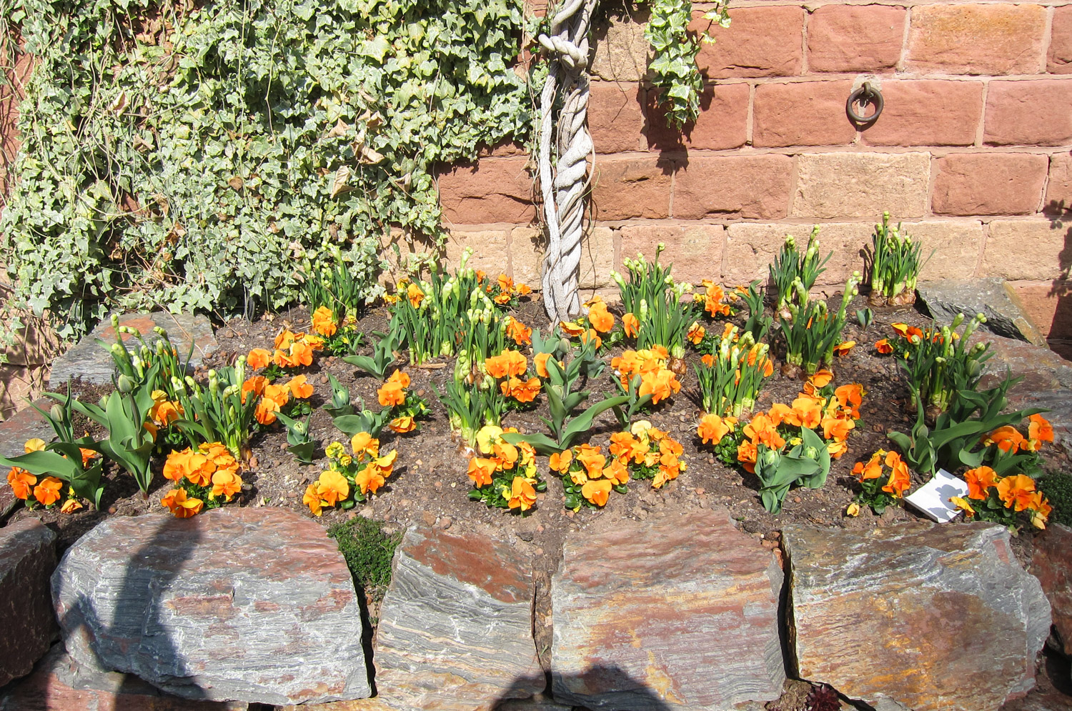 Frühlingssonne