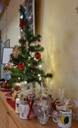 Geschenk-Tassen unterm Weihnachtsbaum