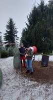 Weihnachtsbäume für Weilerbach