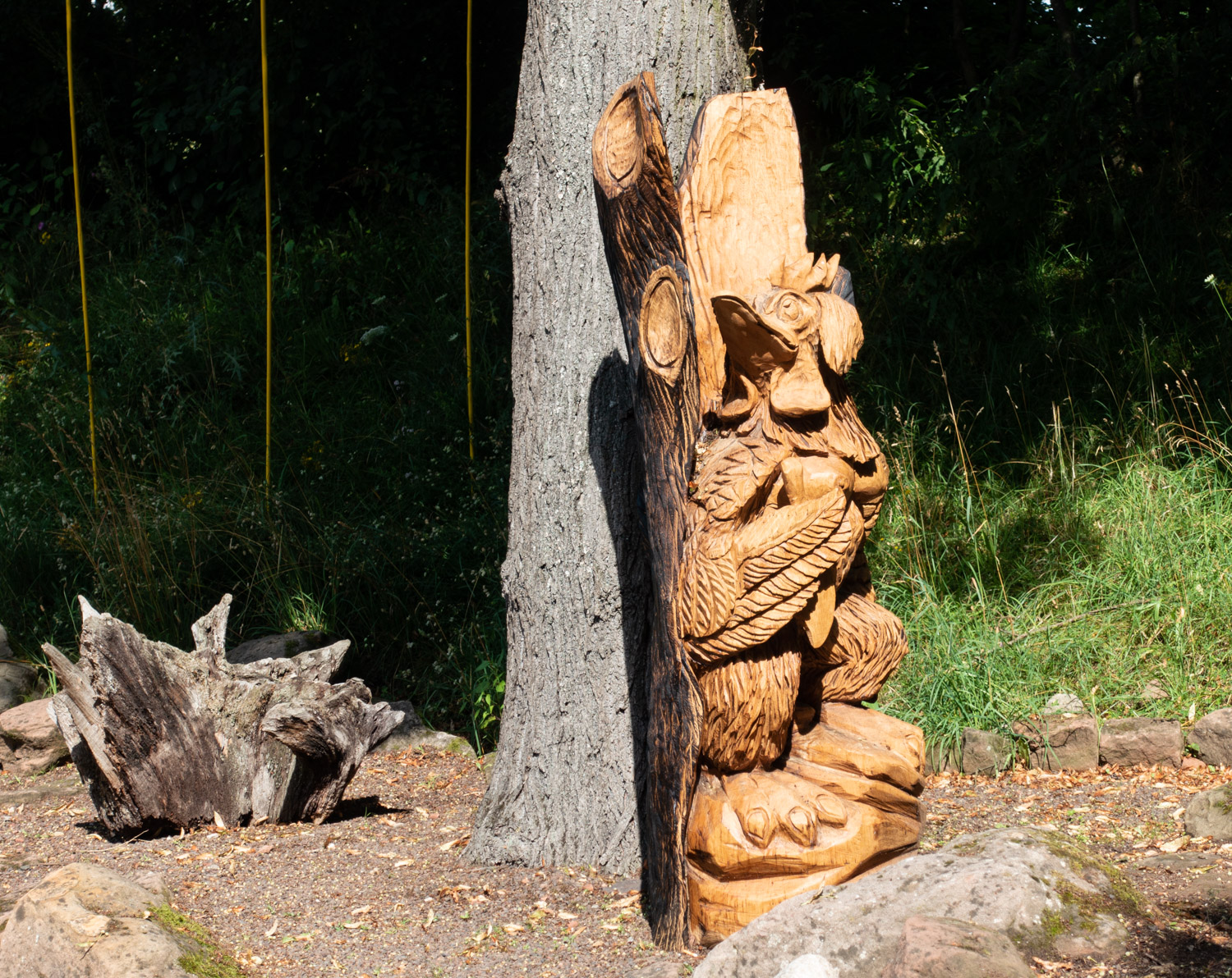 Die Elwetritsch versteckt sich