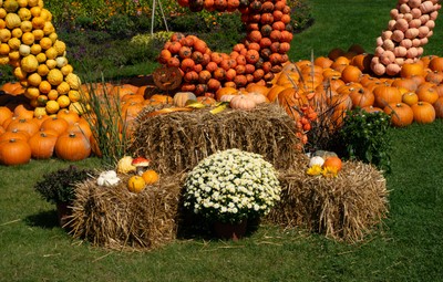 herbstlicher Deko im Park